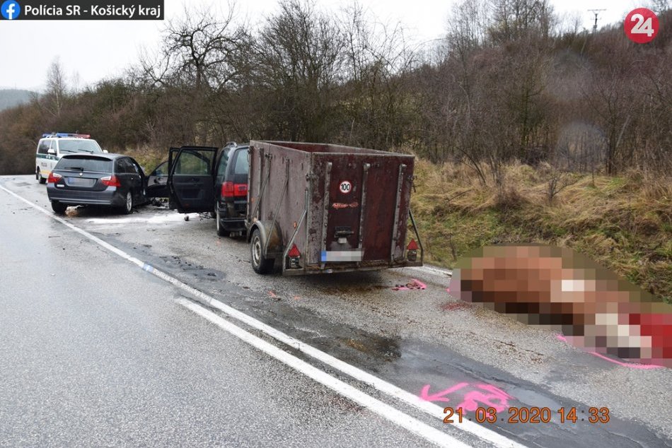 Ilustračný obrázok k článku Kuriózna dopravná nehoda v okrese: O život prišla krava, FOTO