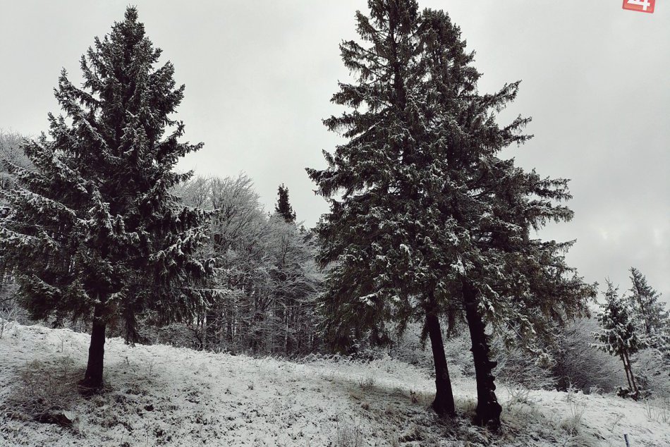 Obrazom: Okolie Dobšinského kopca v zimnom šate